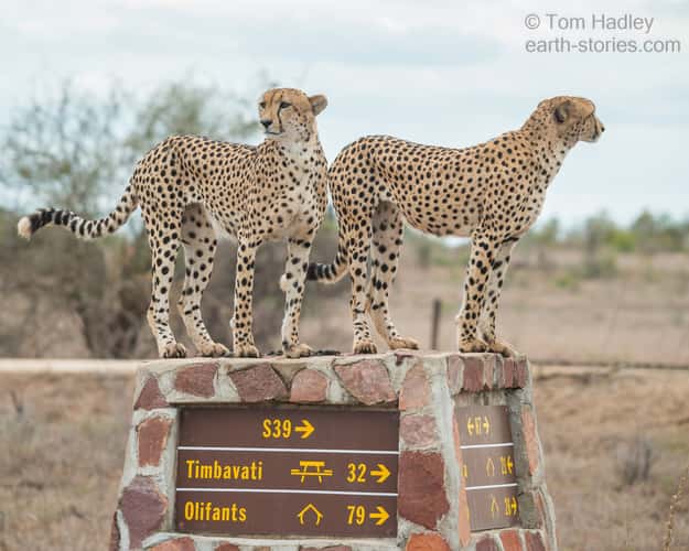 H7 - S39 road junction KNP