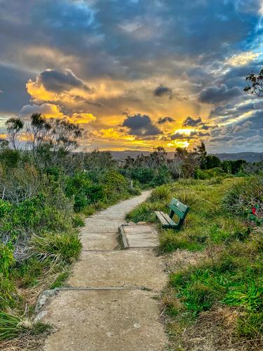 Headland pathway, Mona Vale, Sydney