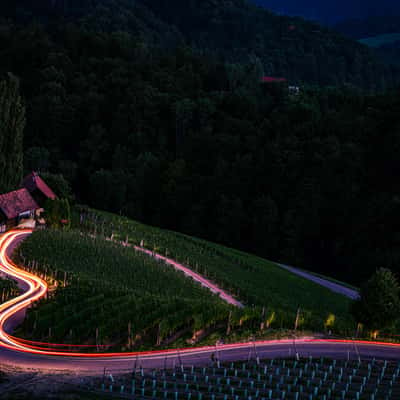 Heart in the vineyards, Slovenia, Slovenia