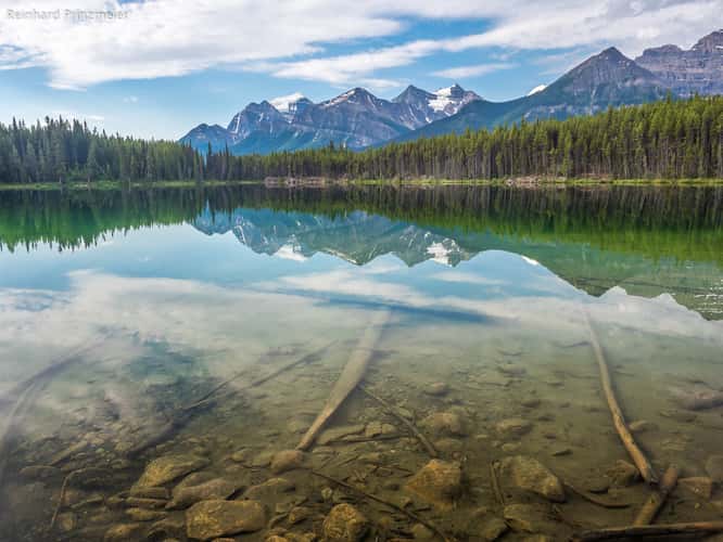 Herbert Lake