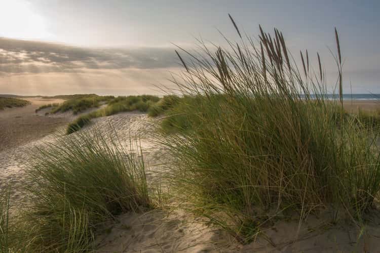 Holkham beach