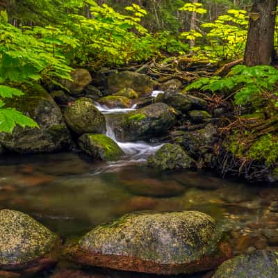Lanham Creek Waterfalls 1, USA