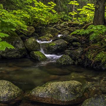 Lanham Creek Waterfalls 1, USA