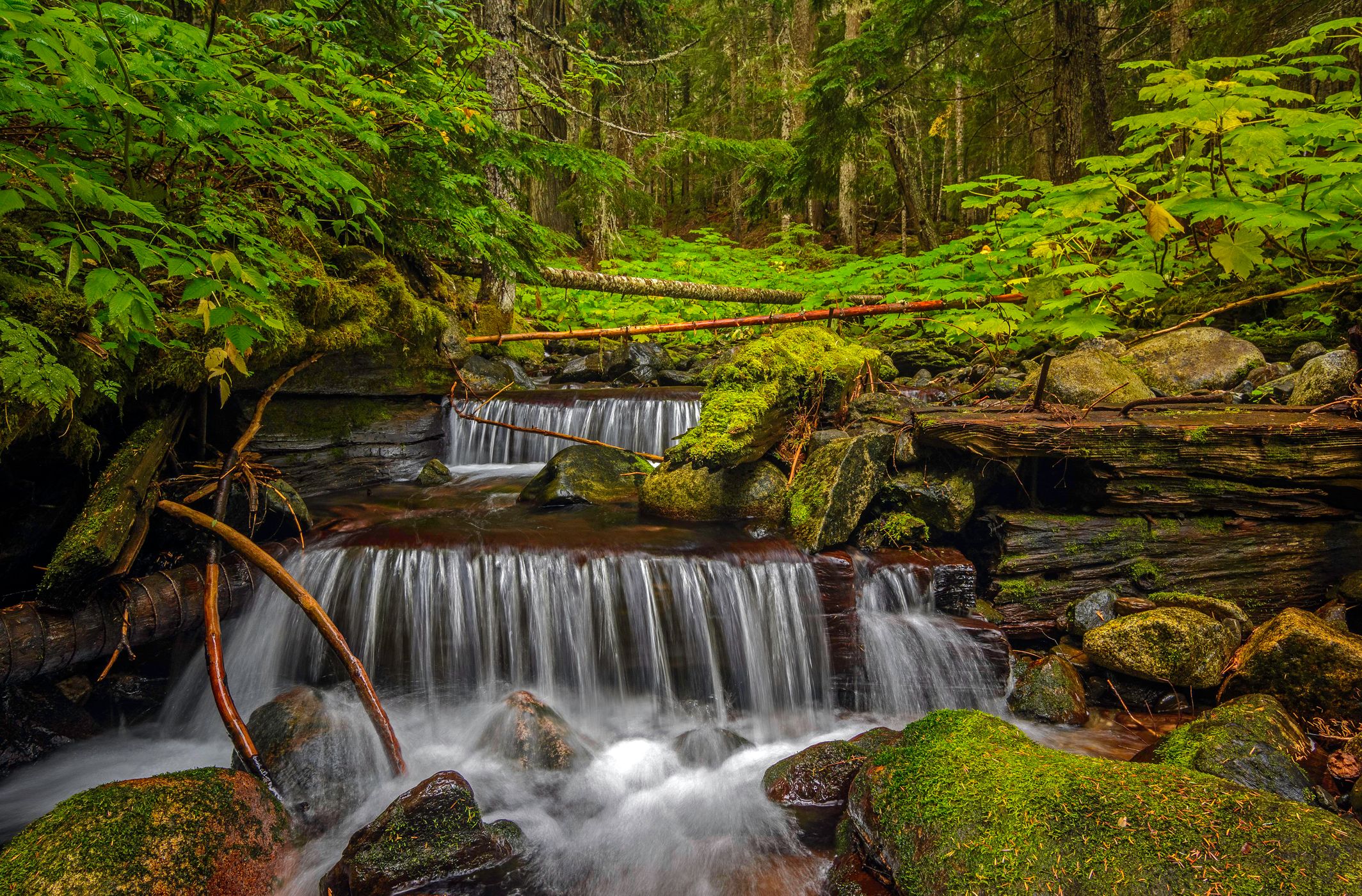 Lanham Creek Waterfalls 1, USA