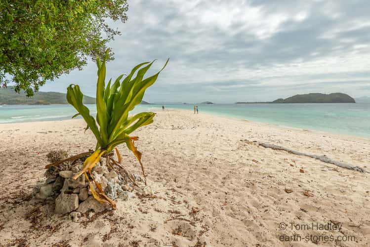 Little Maosanon Island