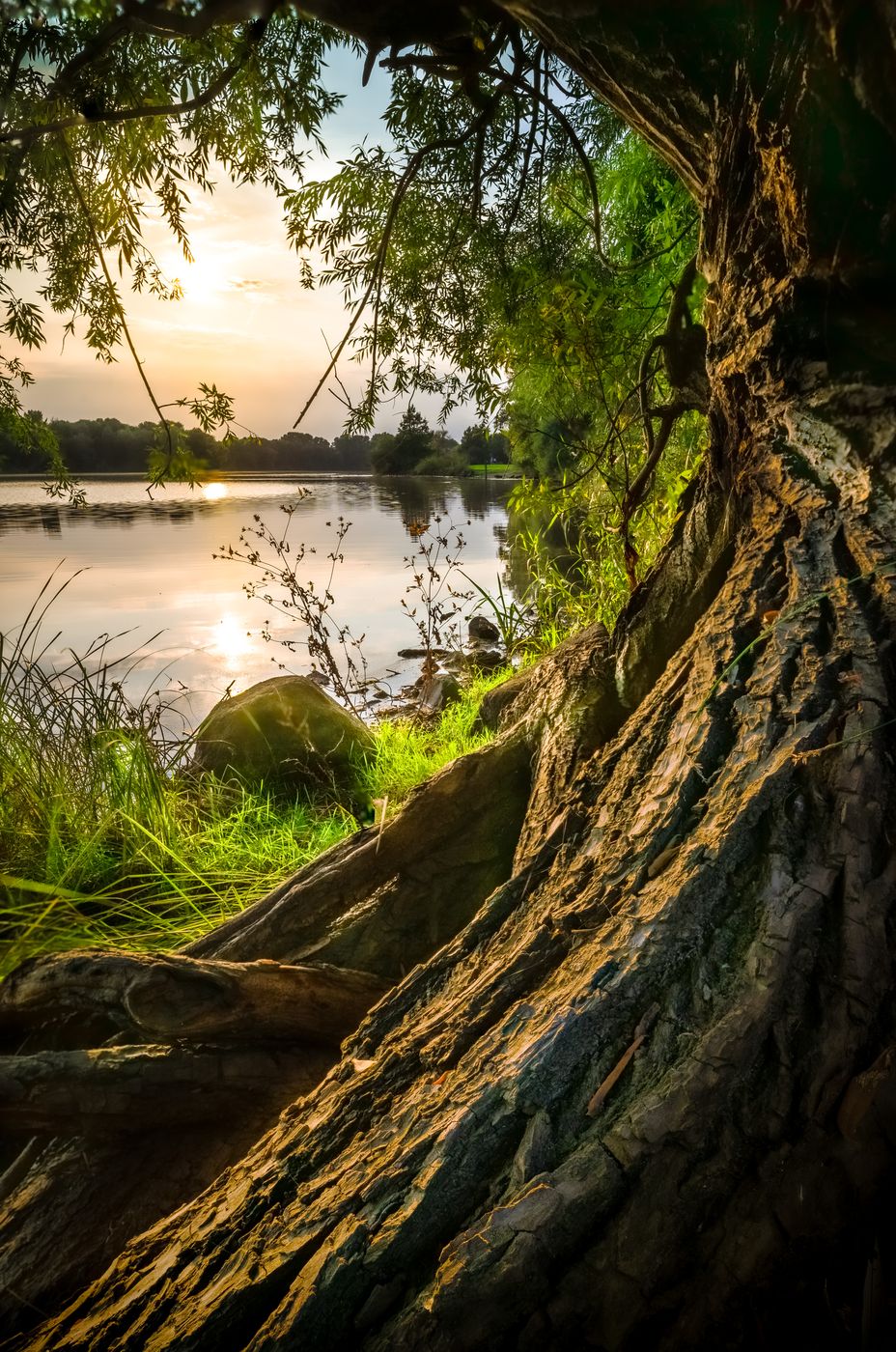 Ölpersee, Germany
