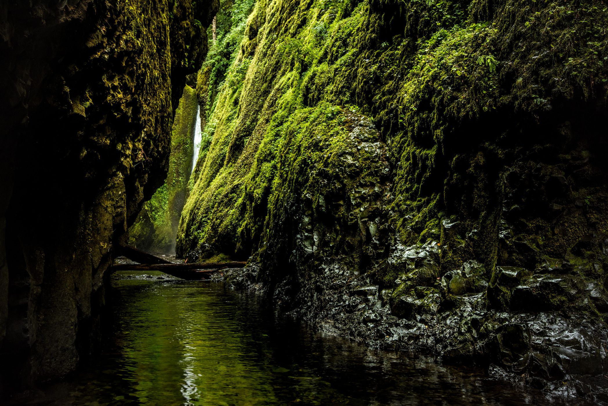 Oneonta Gorge, USA