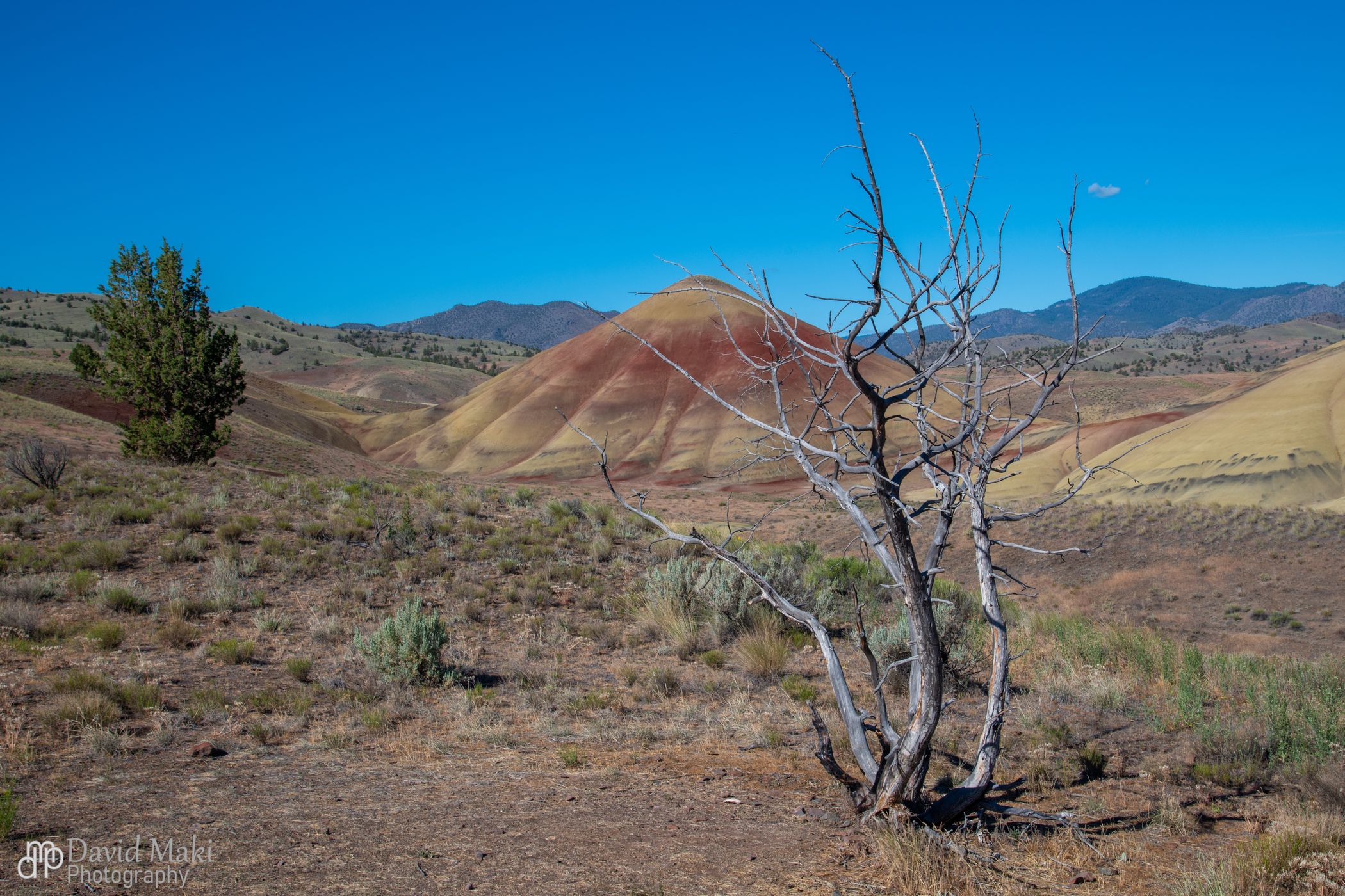 John Day Painted Hills, USA