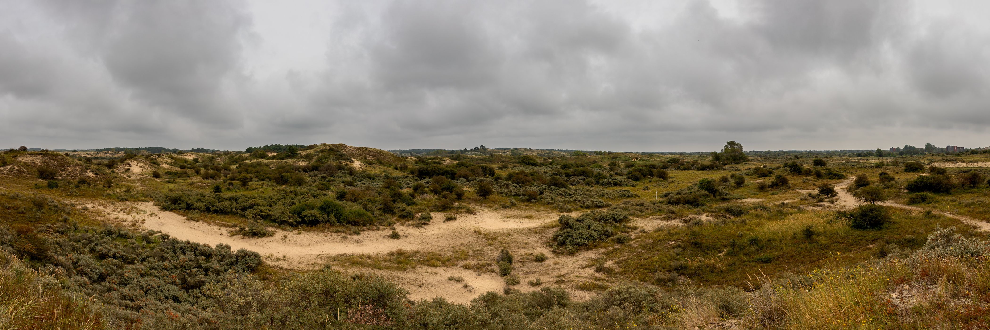 Parc national de Kennemerland du Sud, Netherlands