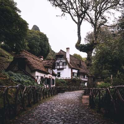 Parque Florestal das Queimadas, Madeira, Portugal