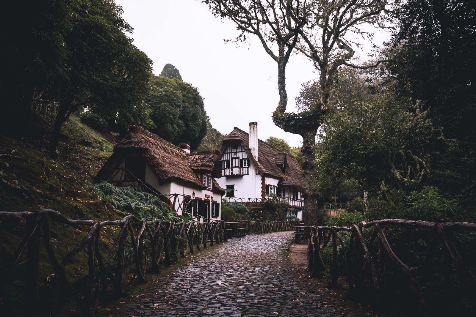 Parque Florestal das Queimadas, Madeira, Portugal