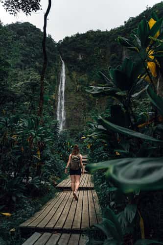 Pipiwai Trail