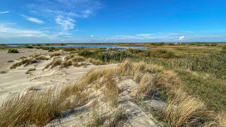 Plage De Piemanson