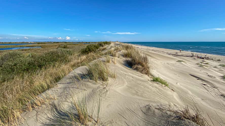 Plage De Piemanson