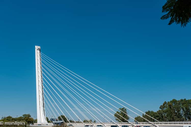Punte del Alamillo, Seville