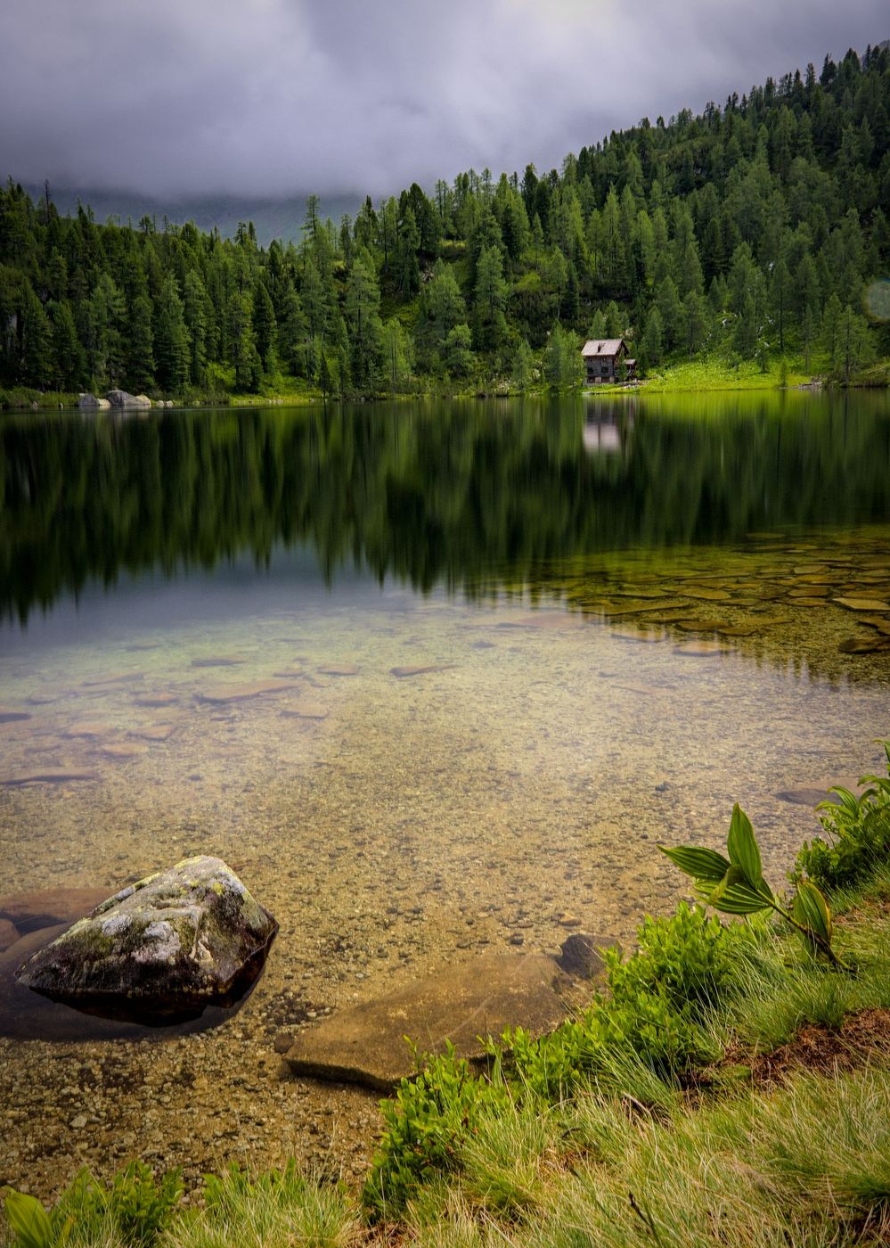 Reedsee, Austria