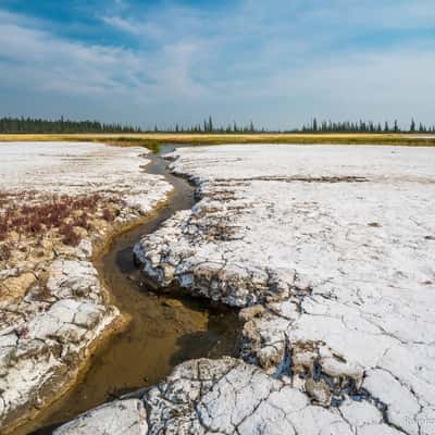 Salt Plains, Wood Buffalo National Park, Canada