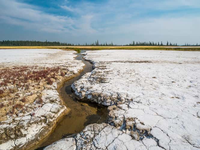 Salt Plains, Wood Buffalo National Park