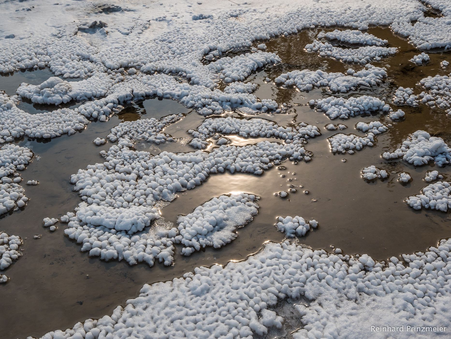 Salt Plains, Wood Buffalo National Park, Canada