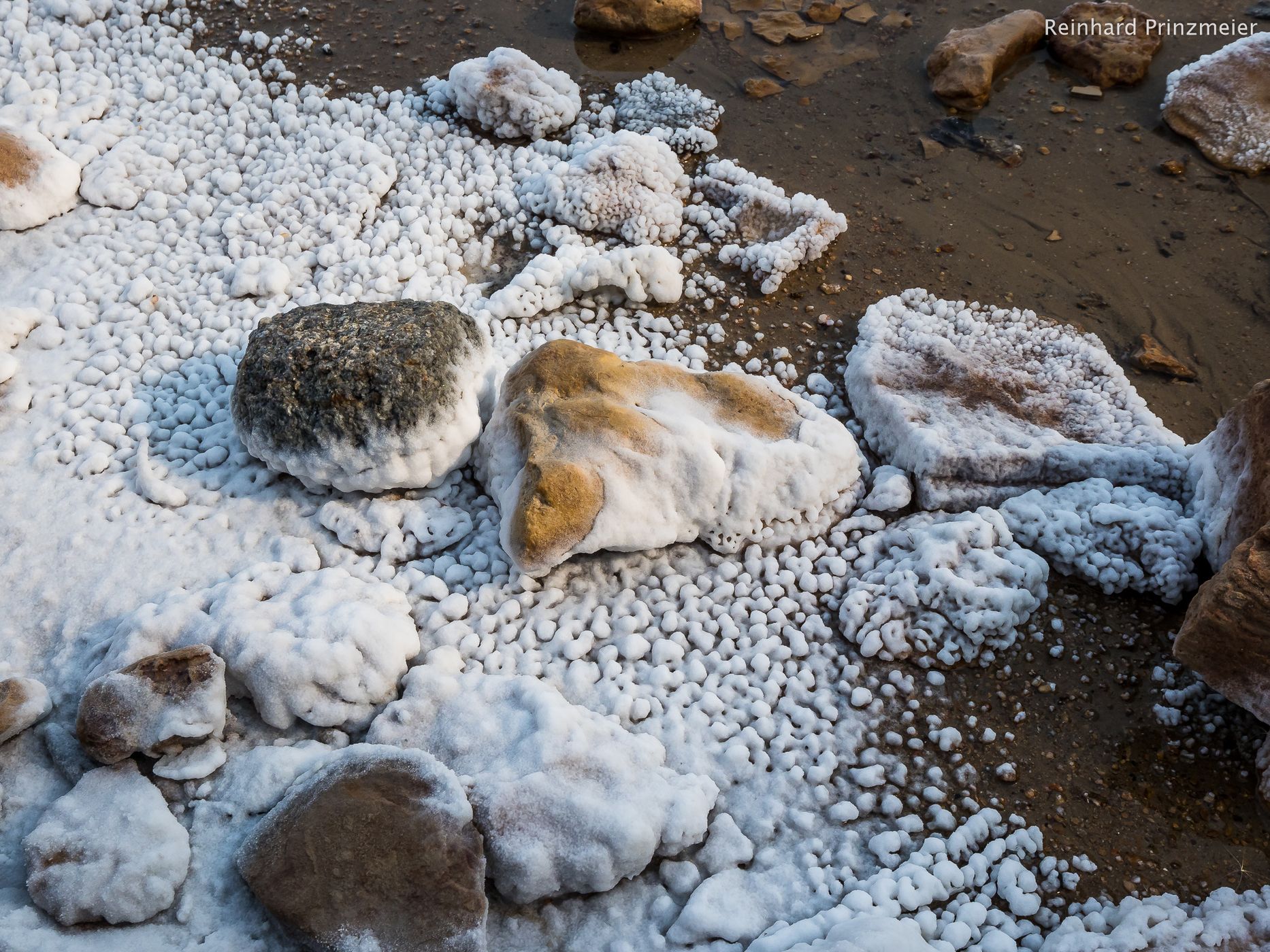 Salt Plains, Wood Buffalo National Park, Canada