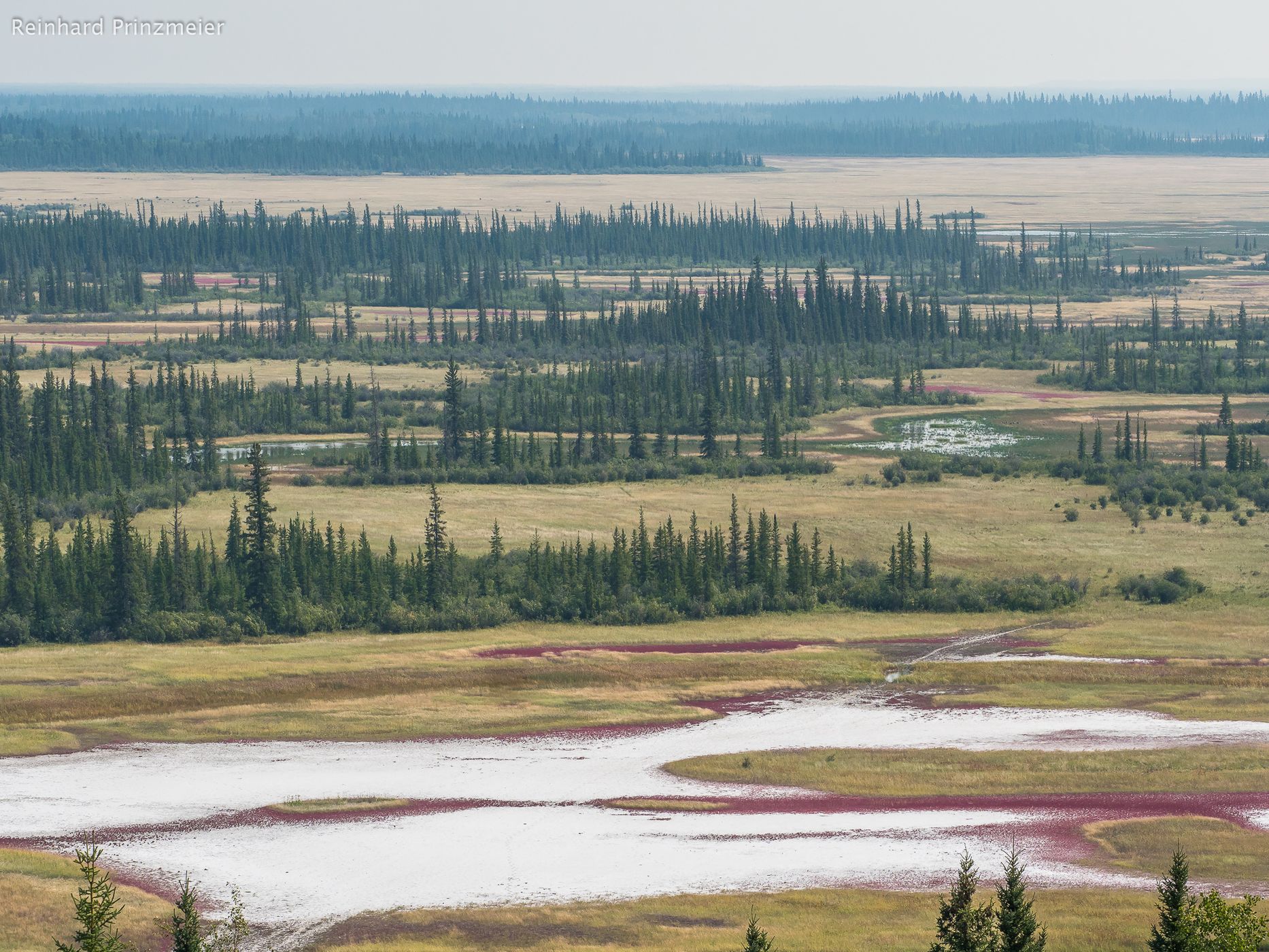 Salt Plains, Wood Buffalo National Park, Canada