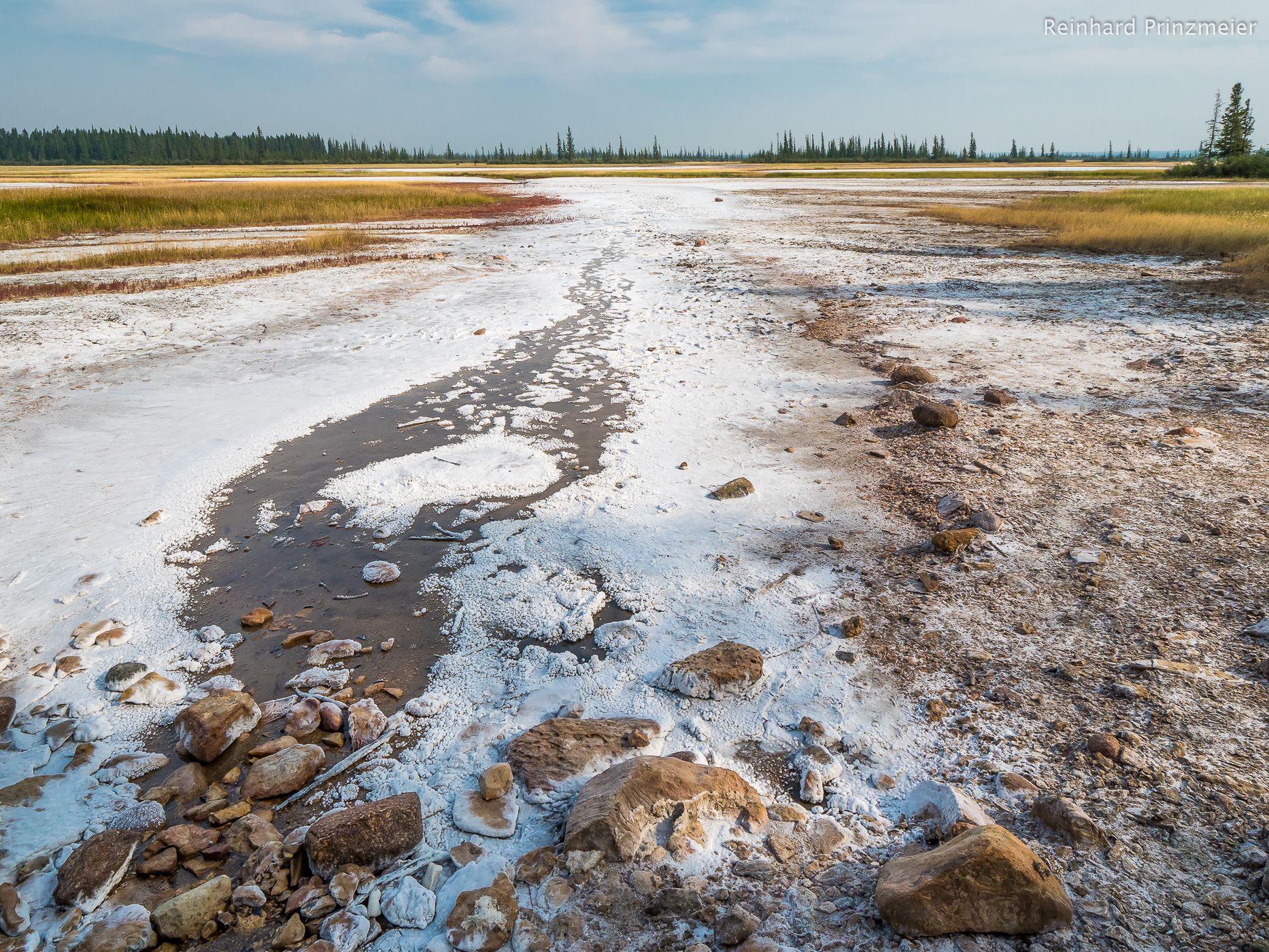 Salt Plains, Wood Buffalo National Park, Canada