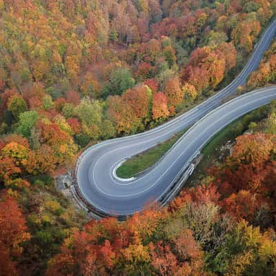 Serpentine, Black Forest, Germany