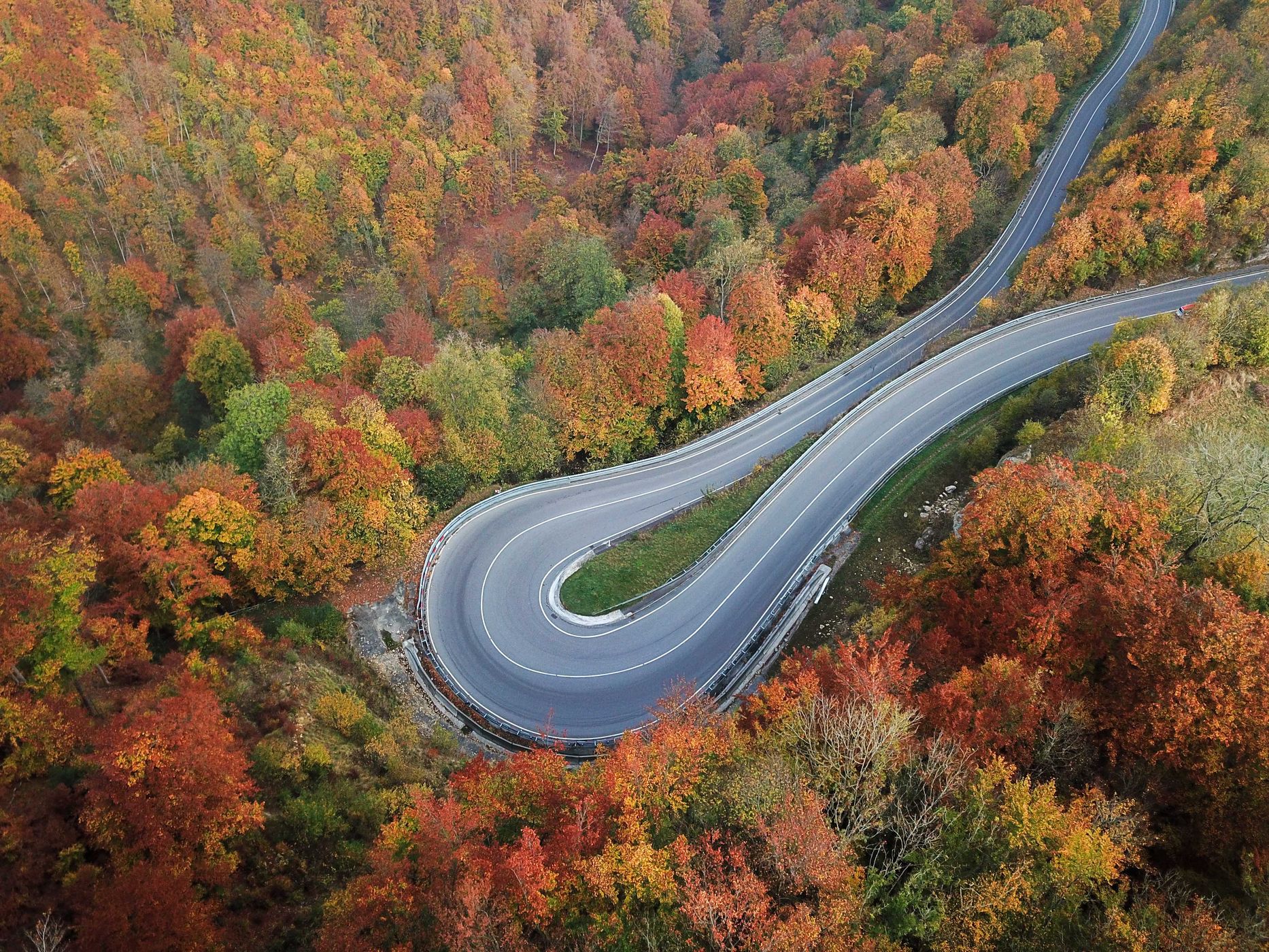 Serpentine, Black Forest, Germany