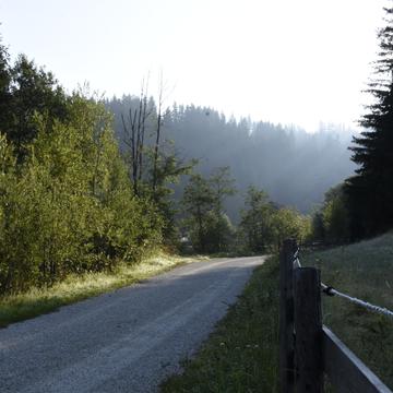 Straße in der Natur, Austria