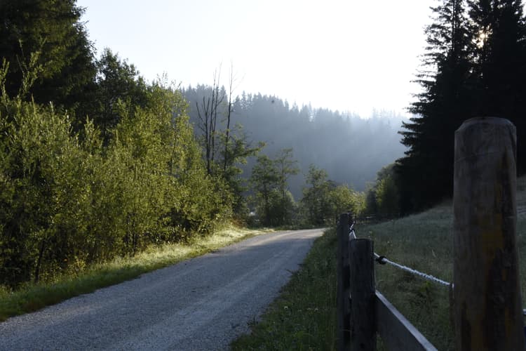 Straße in der Natur
