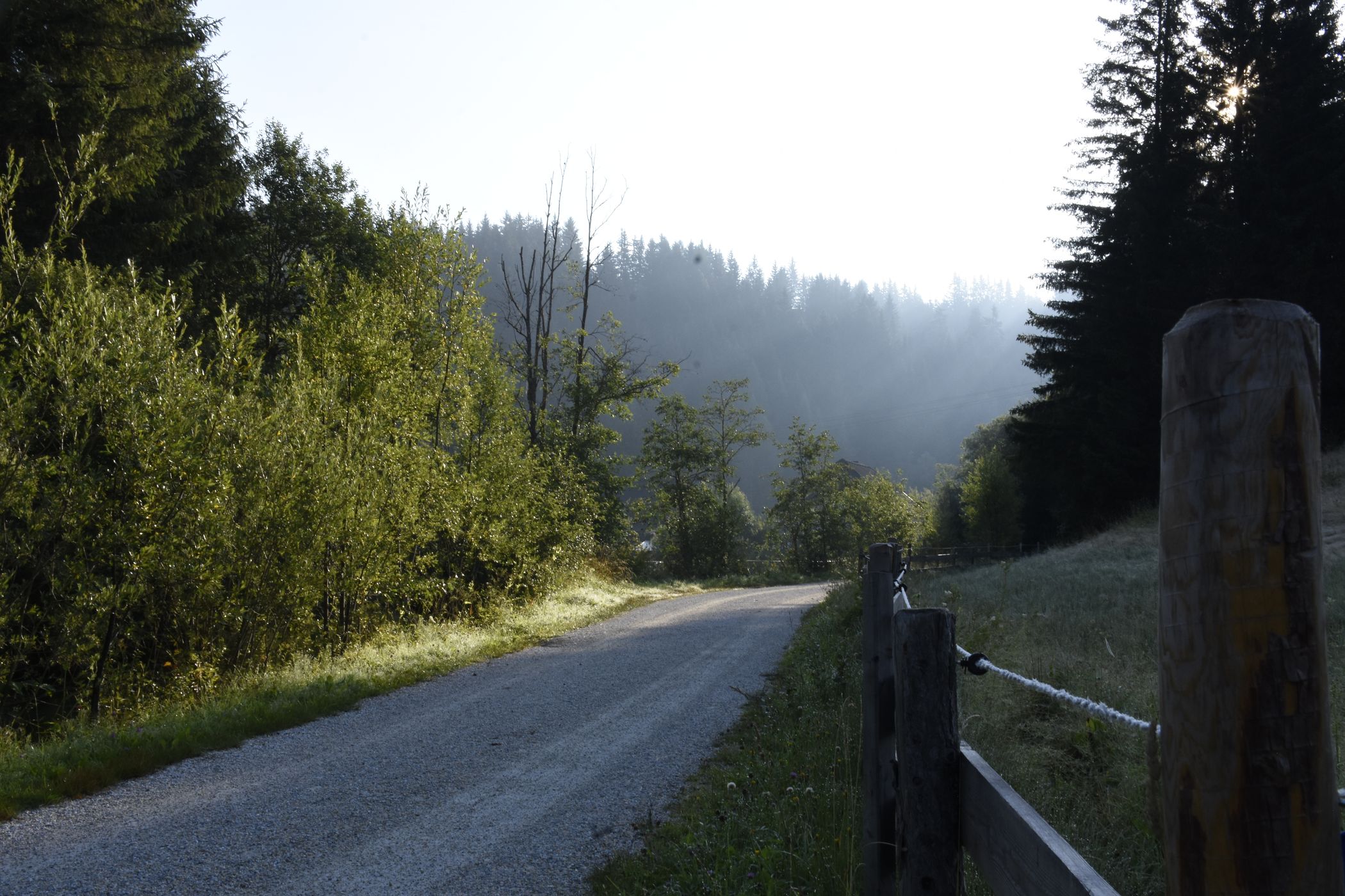Straße in der Natur, Austria