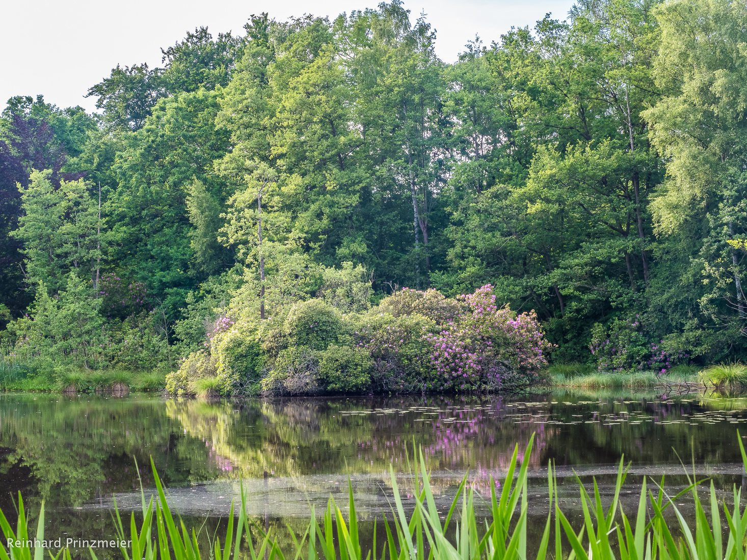 Sunder Estate (Gut Sunder), Germany