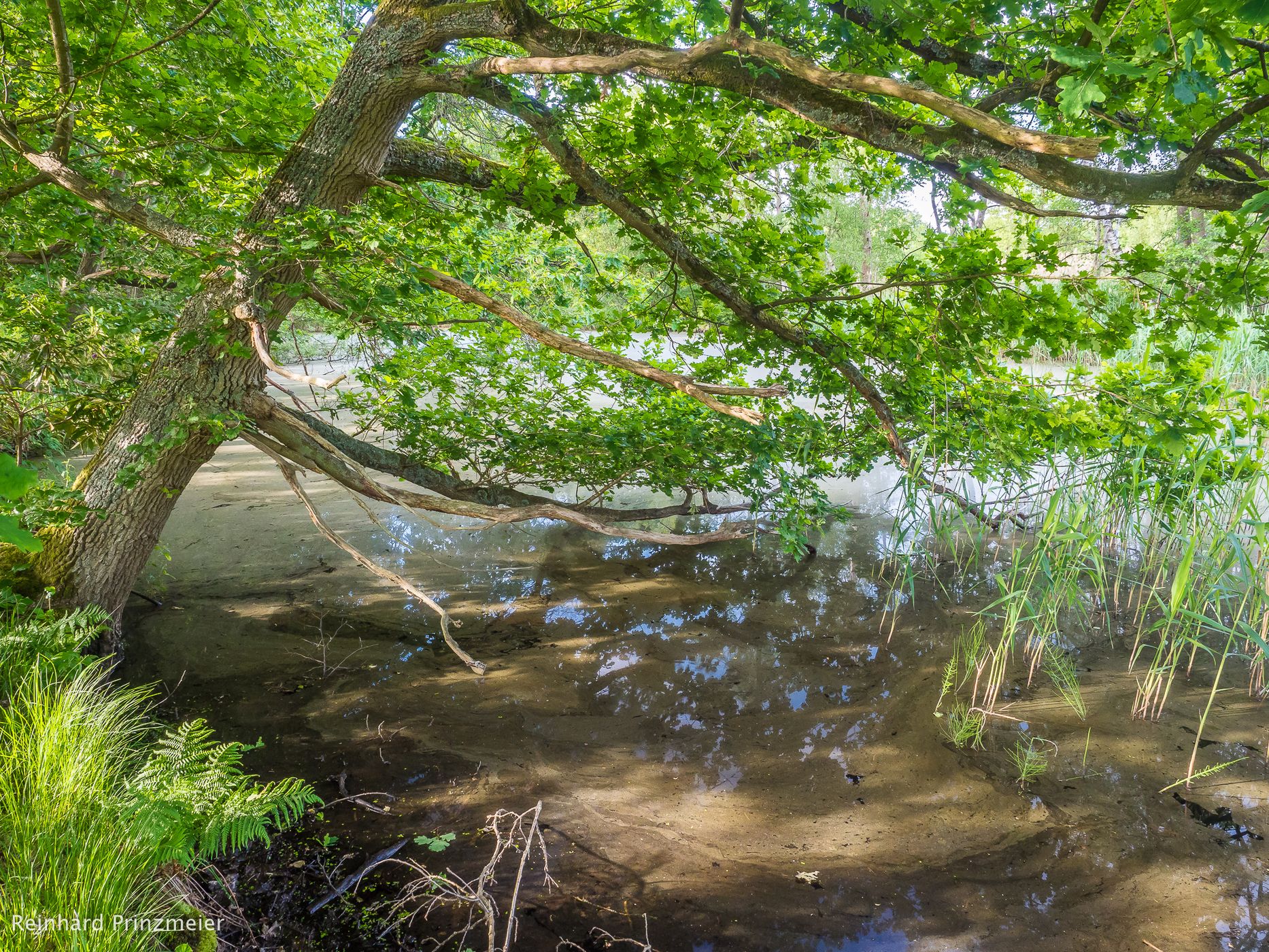 Sunder Estate (Gut Sunder), Germany