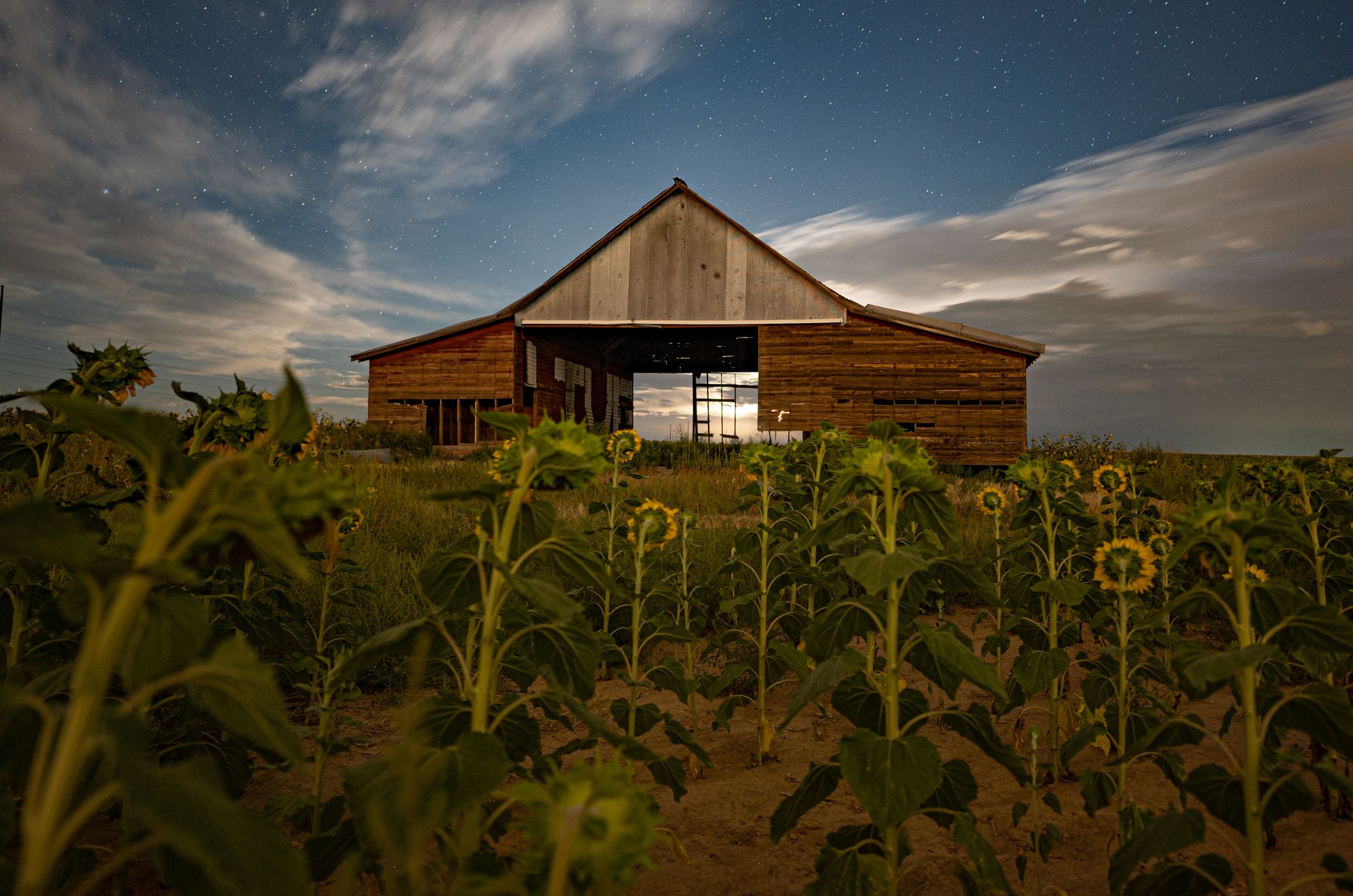 Sunflower Barn, USA