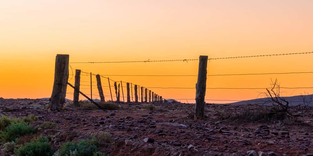 Sunset Fence