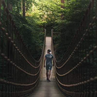 Suspension bridge in the Bingen Forest, Germany