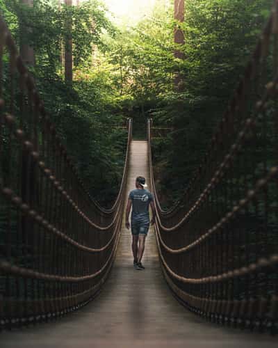 Suspension bridge in the Bingen Forest