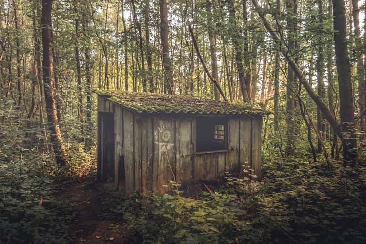 The lost shed