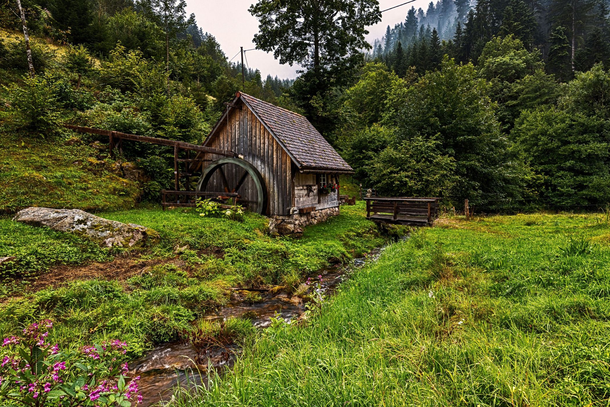 The Mill by the creek, Black Forest, Germany