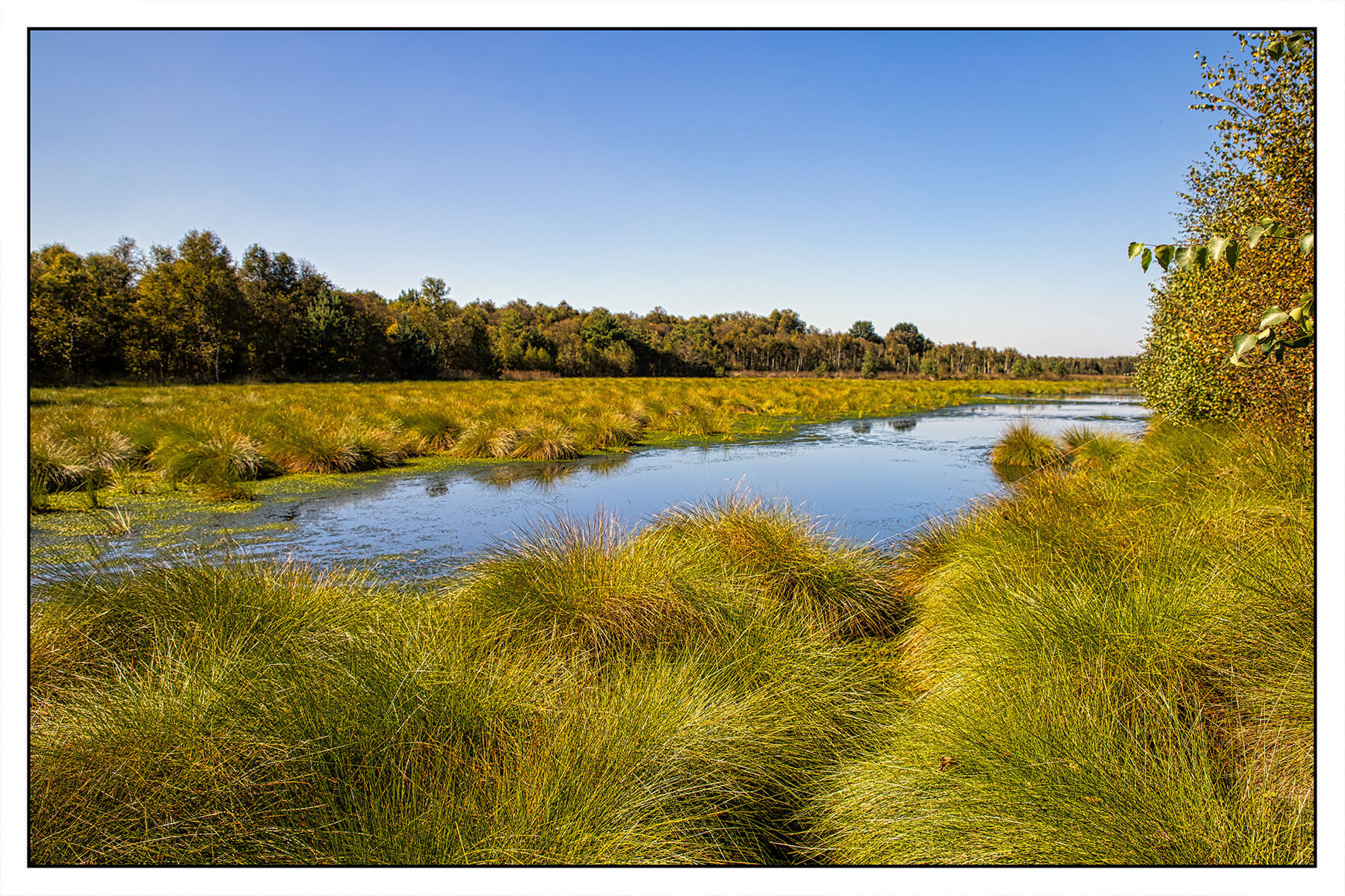 The moor, Germany