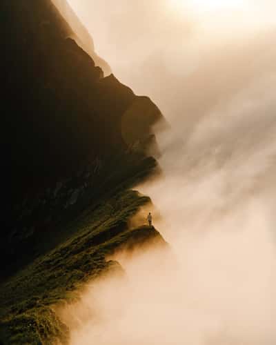 Tomlishorn