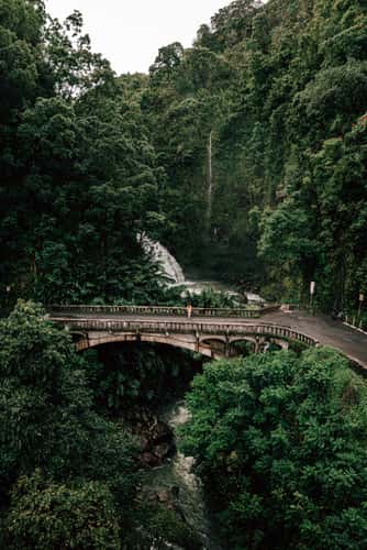 Upper Waikani Fall