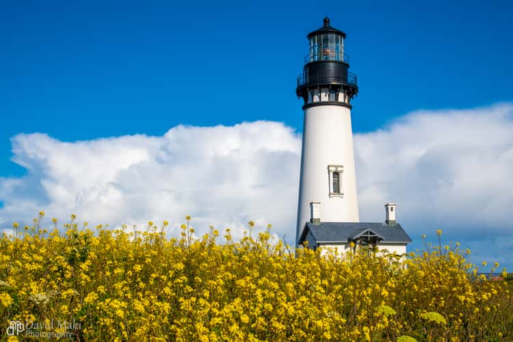 Yaquina Head Lighthouse