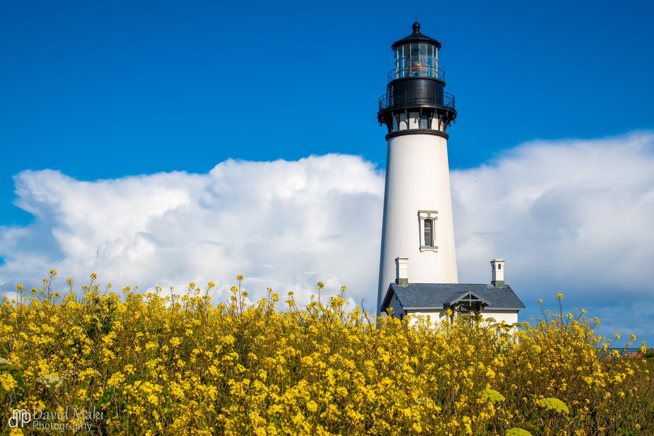 Yaquina Head Lighthouse, USA