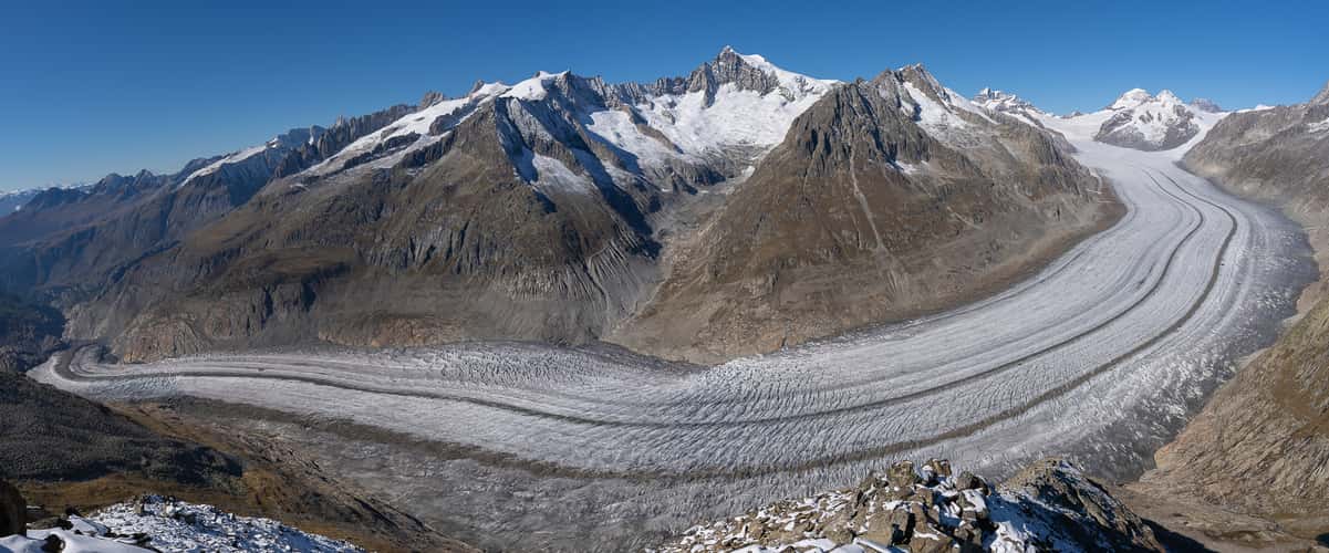 Aletsch glacier from Eggishorn