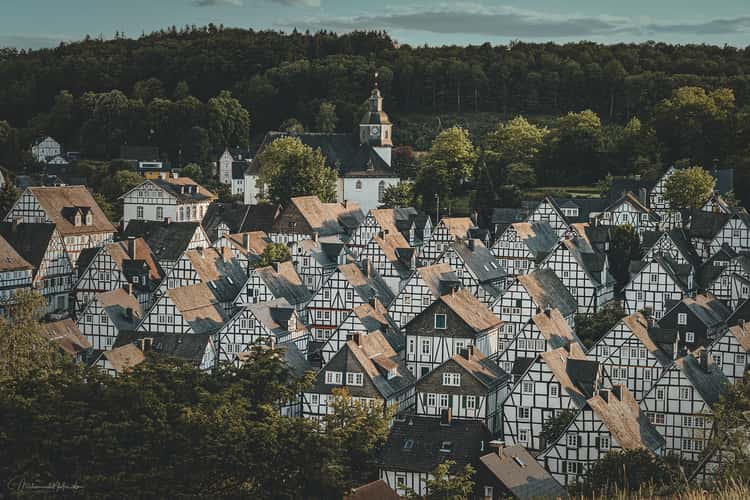 'Old spot', Freudenberg