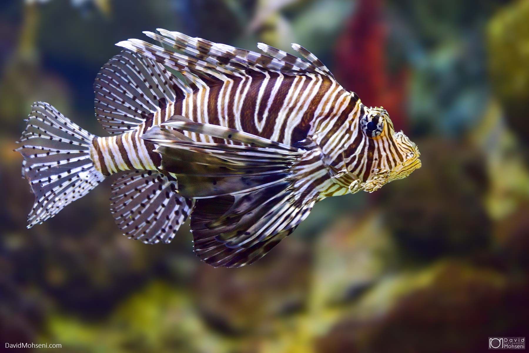 Aquariom Barcelona, Spain