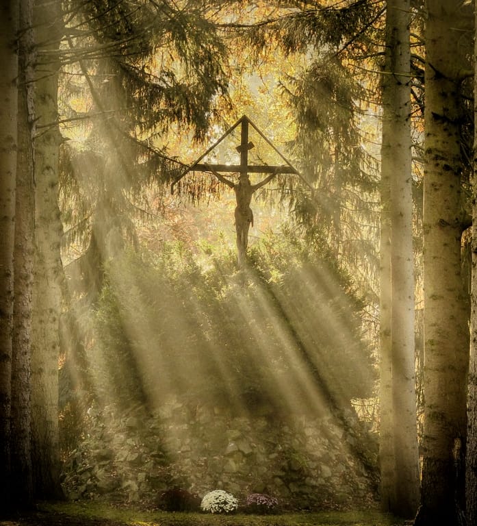Graveyard near Psychiatric Hospital, Belgium