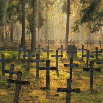 Graveyard near Psychiatric Hospital, Belgium