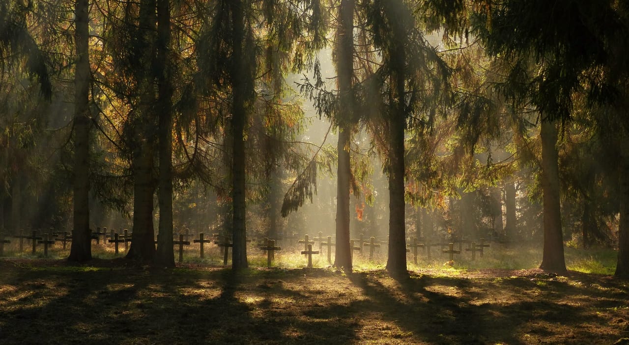 Graveyard near Psychiatric Hospital, Belgium